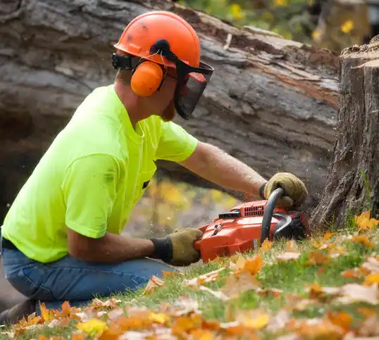 tree services Stillwater